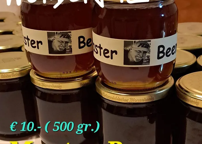 Дом отдыха Trucks Huette Майрхофен